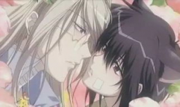 耽美h动漫,浪漫与禁忌的交织之旅